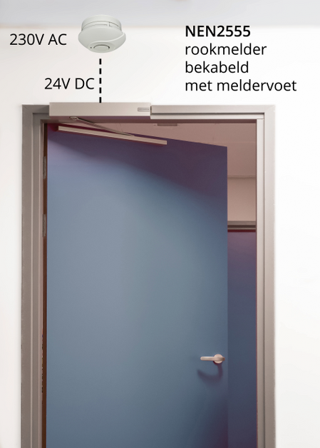 Koop Fito FIT-TR24V Relais voet 24V